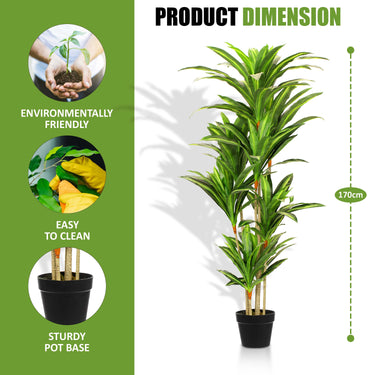 5.6ft Artificial Dracaena Tree - Artificial Plant