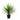 Agave Succulent 50CM - Artificial Plant