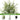 7Ft Olive Tree with 64PCS Fresh Olives | Artificial Plant