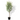 7Ft Olive Tree with 64PCS Fresh Olives - Artificial Plant