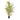 Arrow Bamboo 1.8M with 1107 Lush Leaves - Artificial Plant