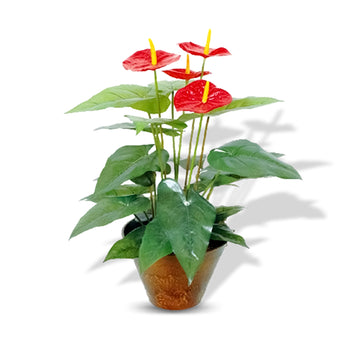 20 Leaves Flamingo Lily, 4 Flowers - Artificial Plant