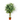 Natal Plum 1.2M - Artificial Plant