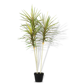 1.6M Artificial Dracaena Tree 195 Leaves - Artificial Plant