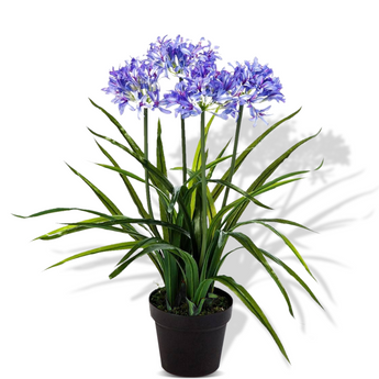 1M Agapanthus Poppin Star - Artificial Plant