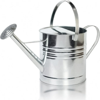 10L Metal Watering Can - Silver